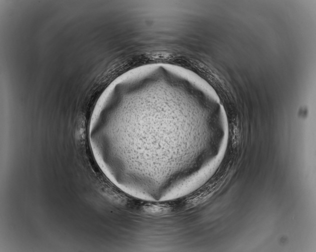 X0000099560561200806061542