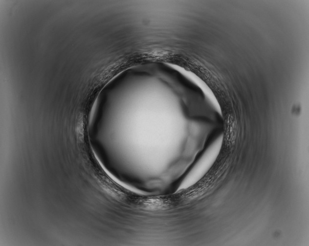 X0000099560562200806061542