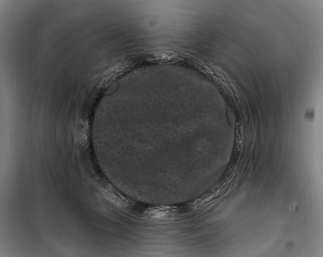 X0000099560563200806061542