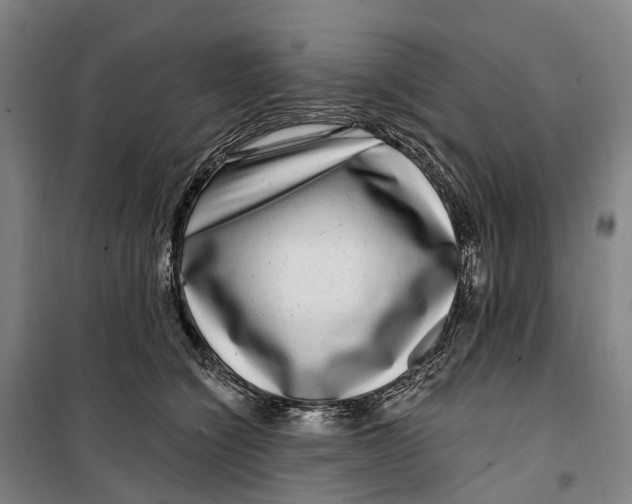 X0000099560564200806061542