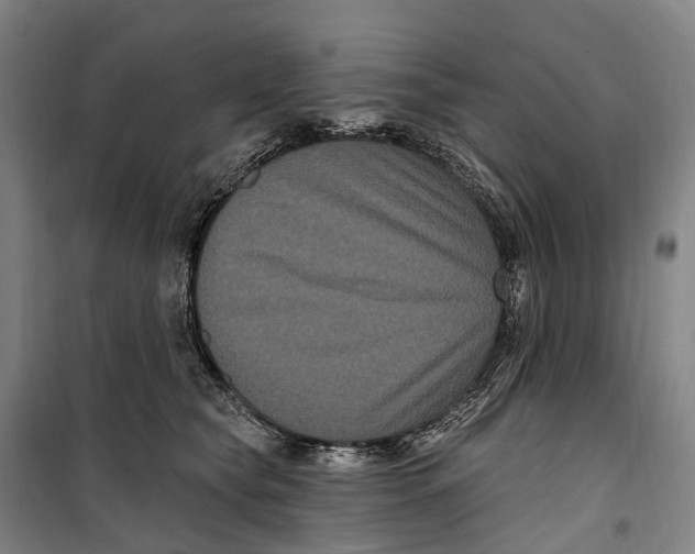 X0000099560565200806061542