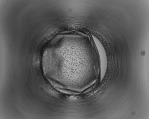 X0000099560566200806061542