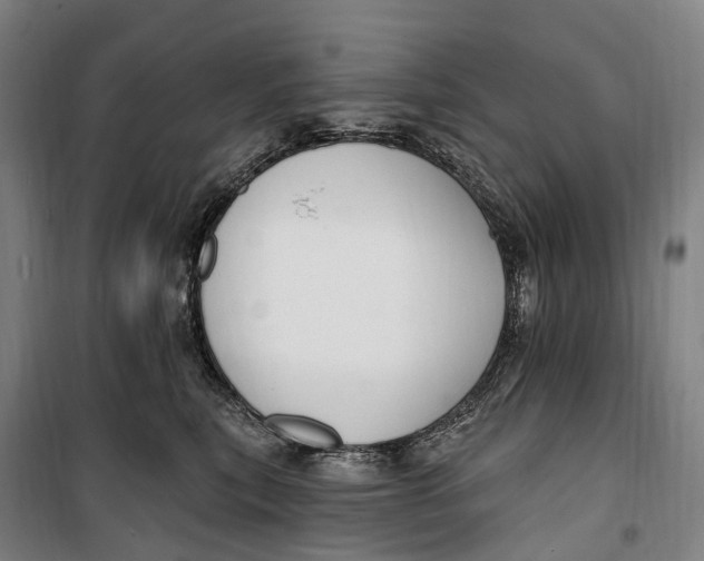 X0000099560567200806061542