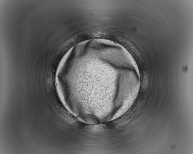 X0000099560569200806061542