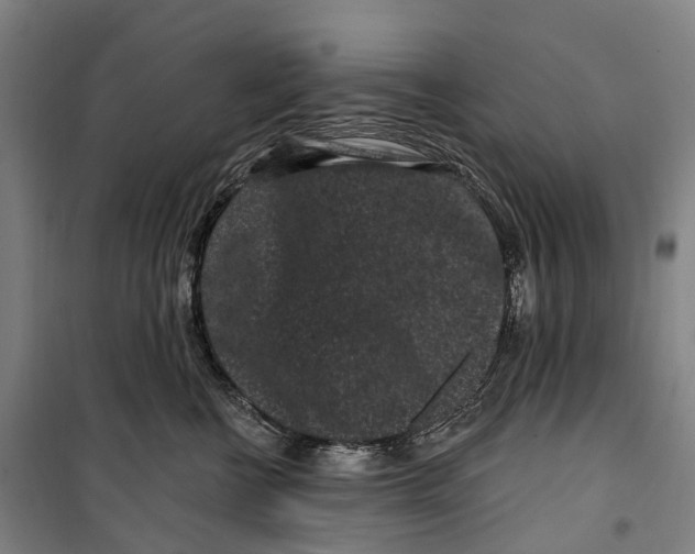 X0000099560570200806061542