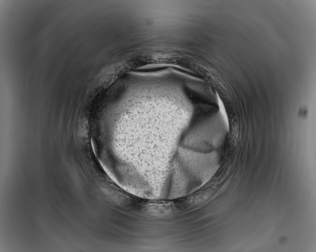 X0000099560571200806061542