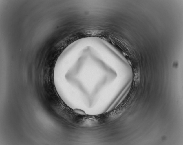 X0000099560572200806061542