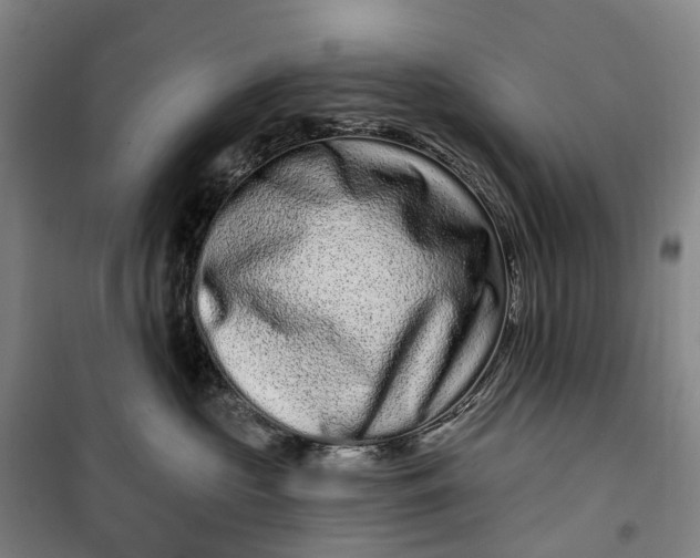 X0000099560573200806061542