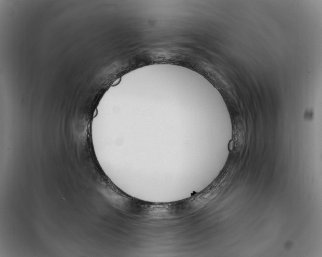 X0000099560574200806061542