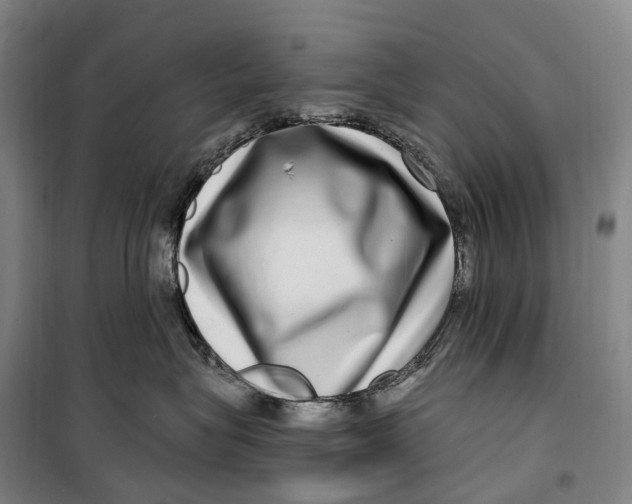 X0000099560575200806061542