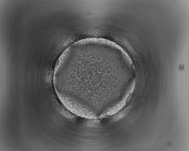 X0000099560576200806061542