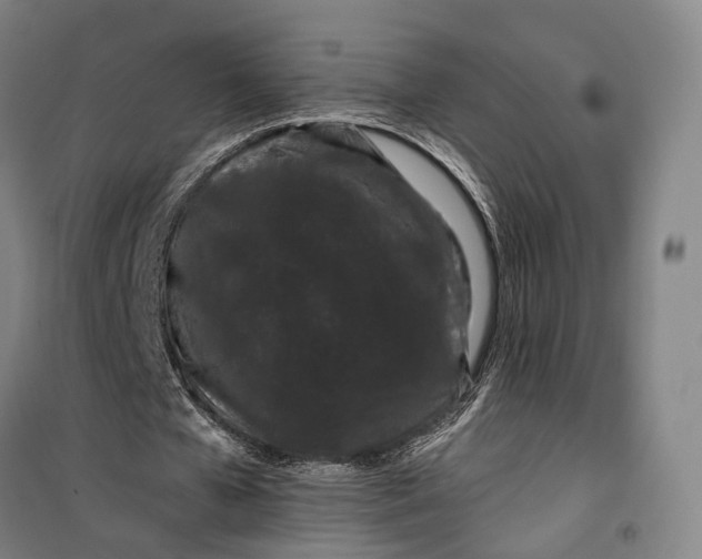 X0000099560577200806061542