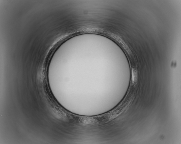 X0000099560579200806061542