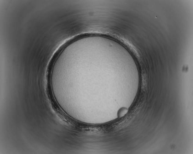 X0000099560580200806061542