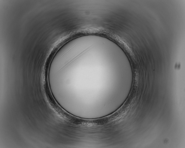 X0000099560582200806061542