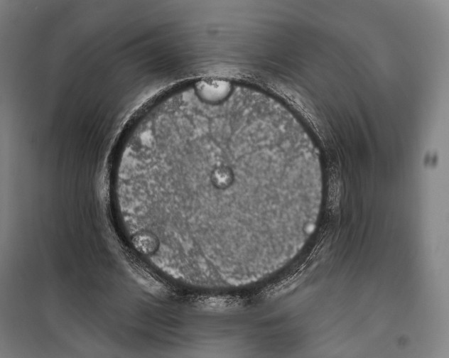 X0000099560584200806061542