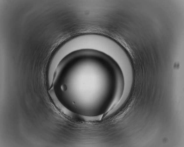 X0000099560585200806061542