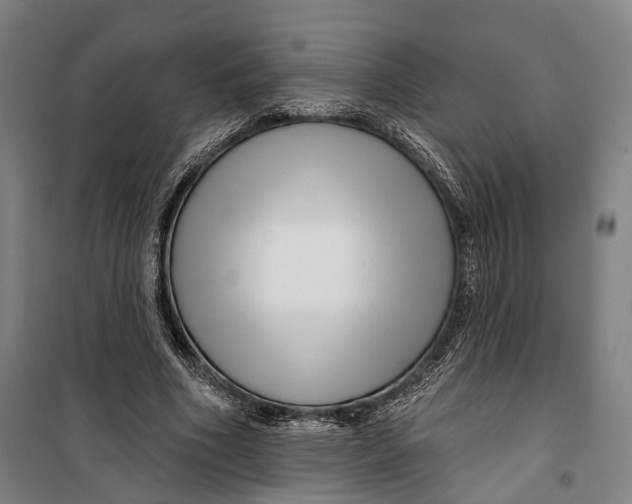 X0000099560586200806061542