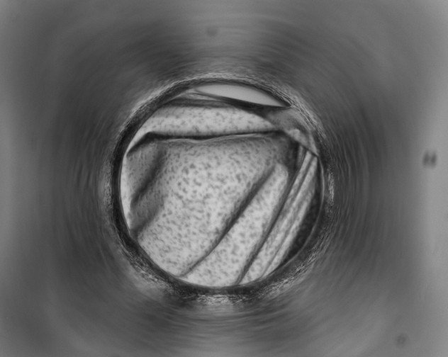 X0000099560588200806061541