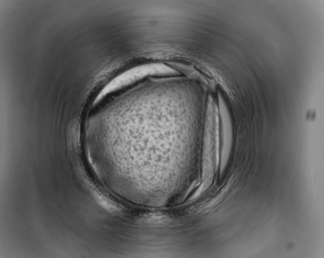 X0000099560589200806061541