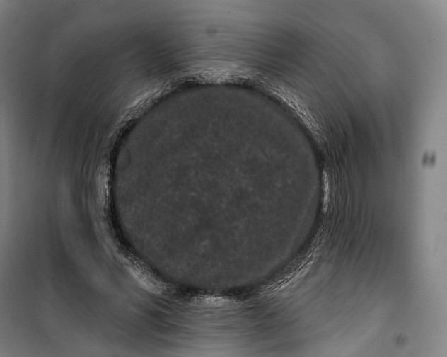 X0000099560590200806061541