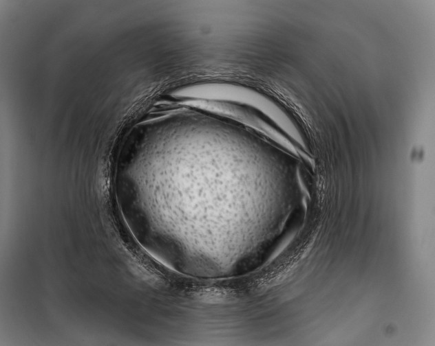 X0000099560593200806061541