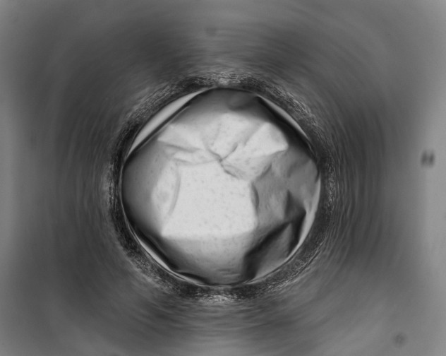 X0000099560594200806061541