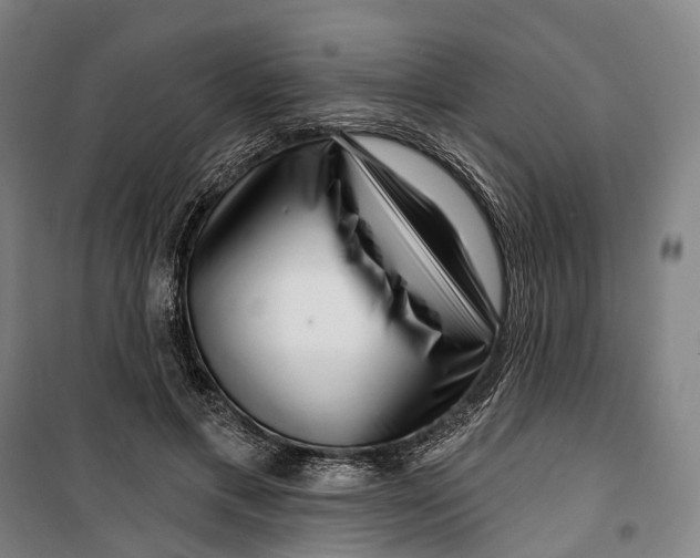 X0000099560597200806061541