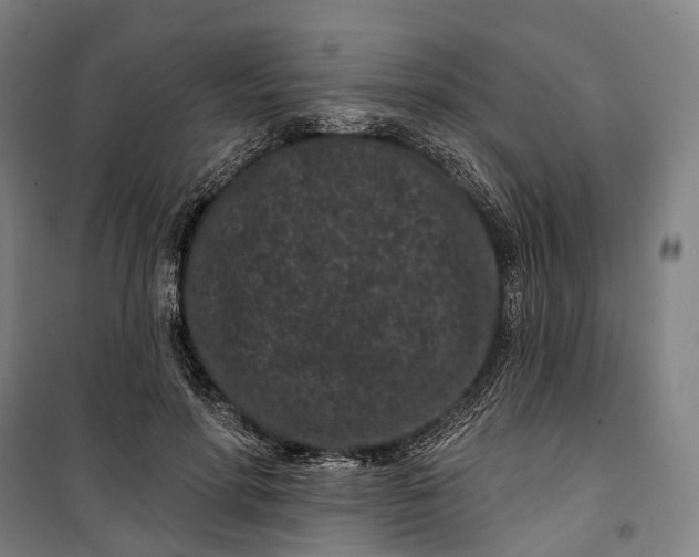 X0000099560598200806061541