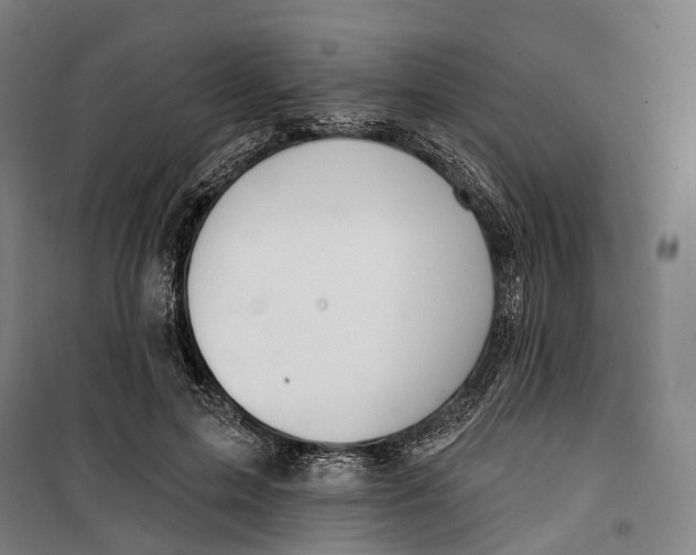 X0000099560599200806061541