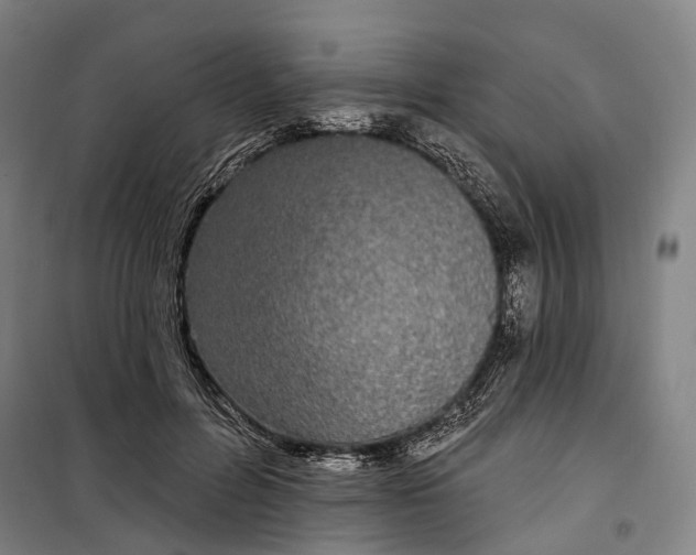 X0000099560600200806061541