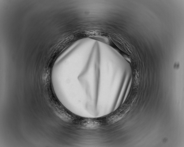 X0000099560601200806061541