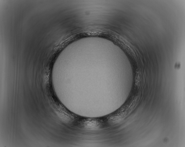 X0000099560604200806061541