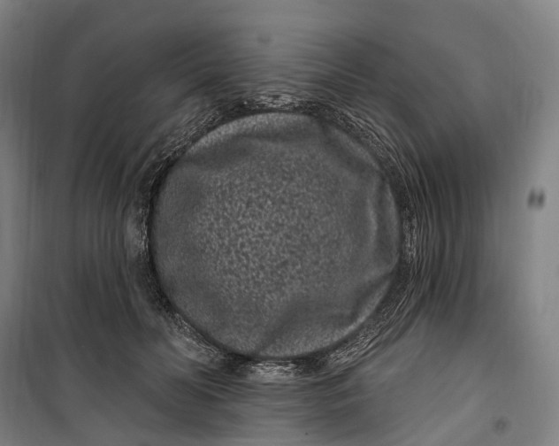 X0000099560606200806061541