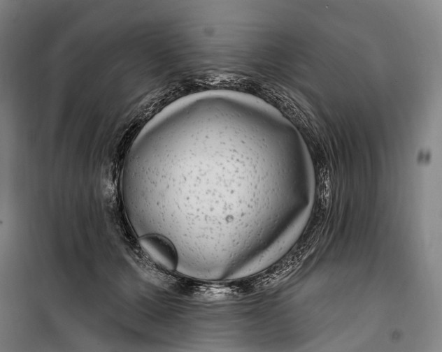 X0000099560607200806061541