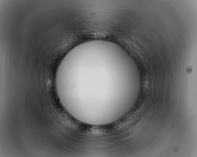 X0000099560608200806061541