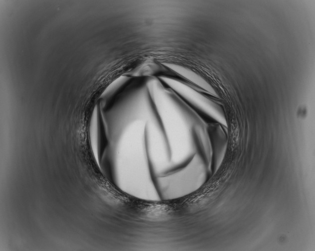 X0000099560609200806061541