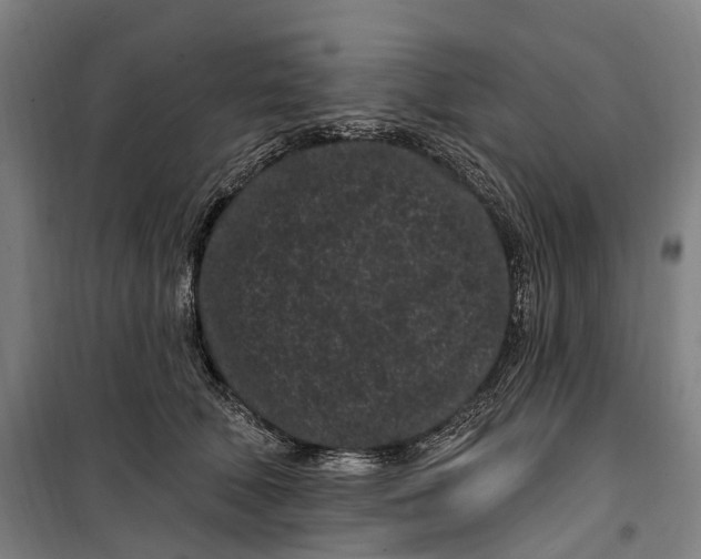 X0000099560610200806061541