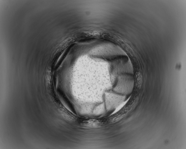 X0000099560612200806061541