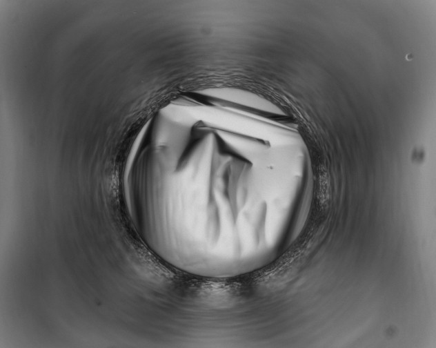 X0000099560613200806061541