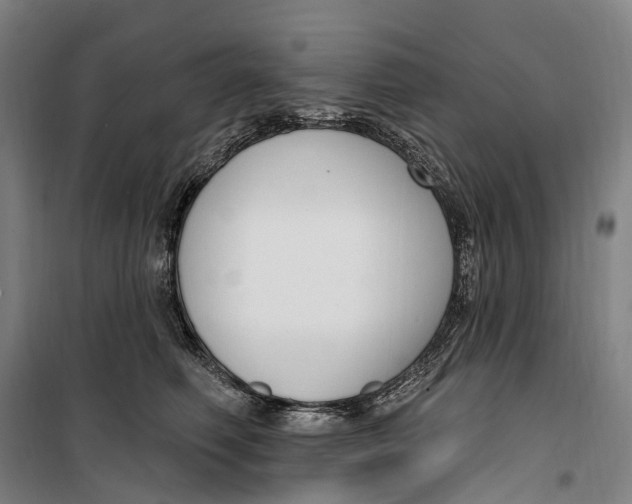 X0000099560614200806061541