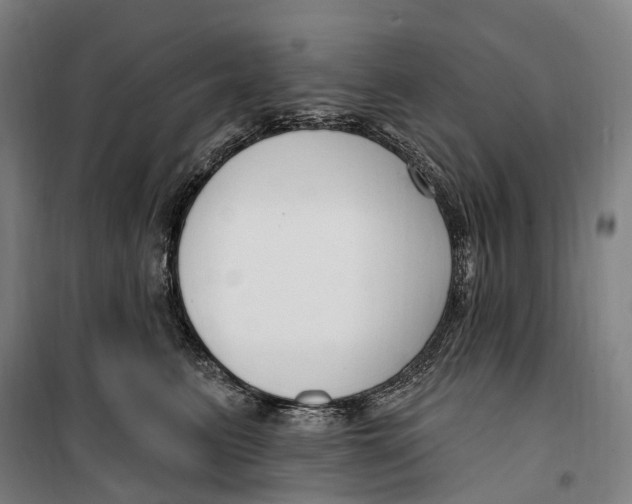 X0000099560615200806061541