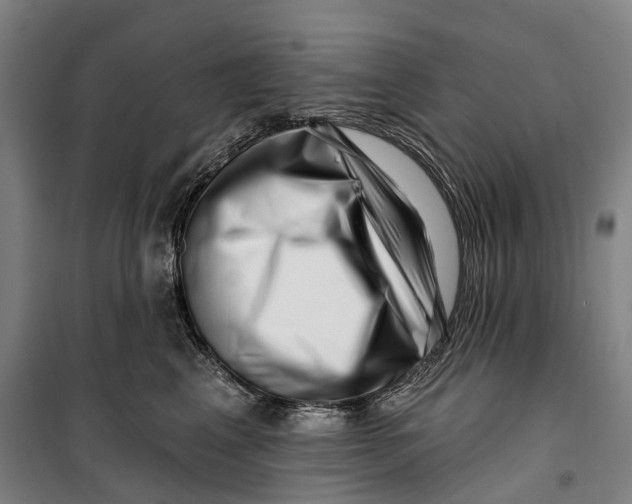 X0000099560617200806061541