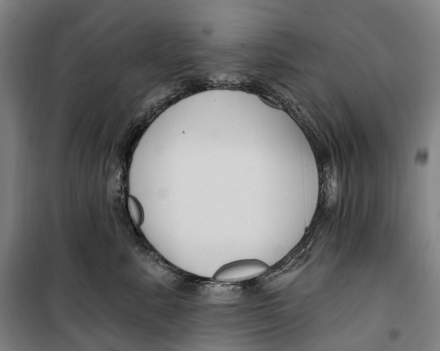 X0000099560619200806061541