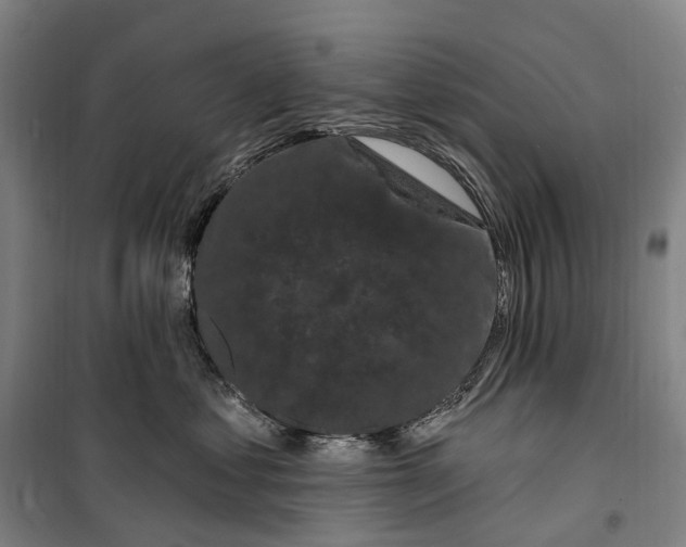 X0000099560621200806061541