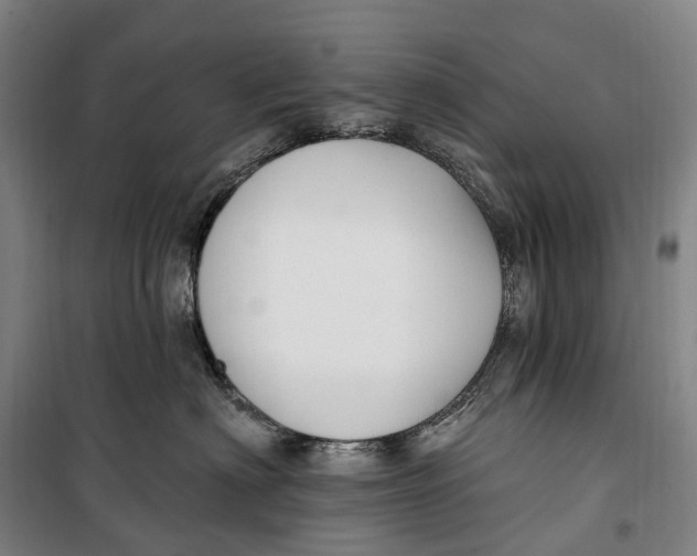 X0000099560622200806061541