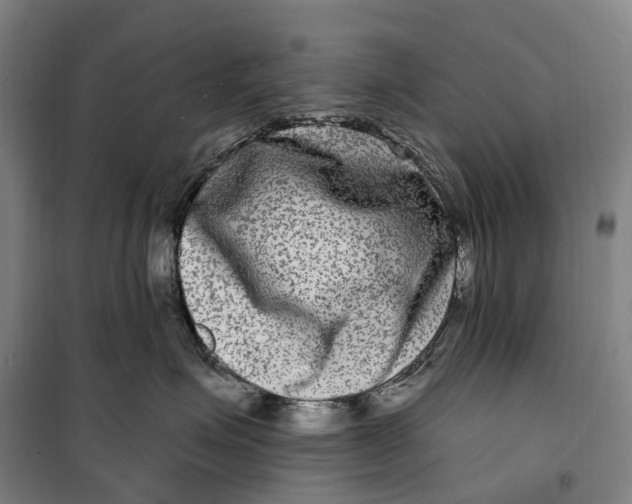 X0000099560623200806061541