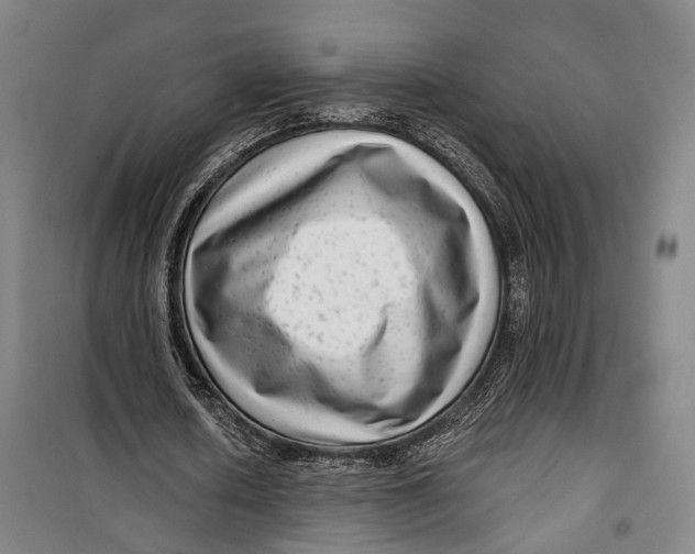 X0000099560626200806061540