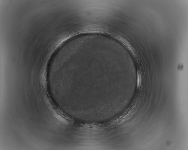 X0000099560627200806061540