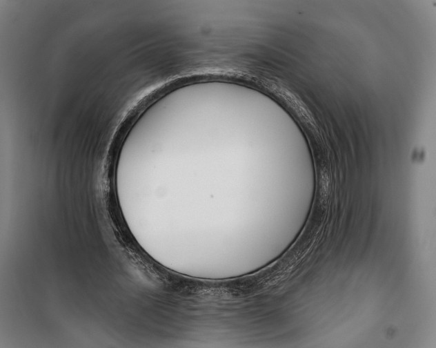 X0000099560628200806061540